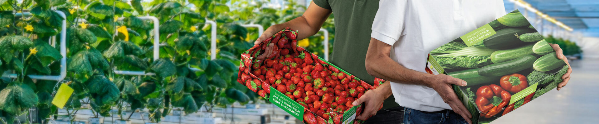 Verduras y frutas