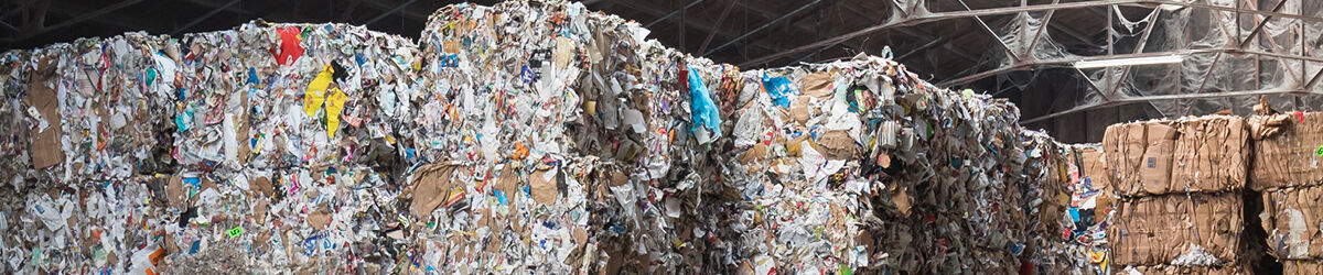 From waste paper to premium packaging: Smart Packaging Solutions joins the FNOI