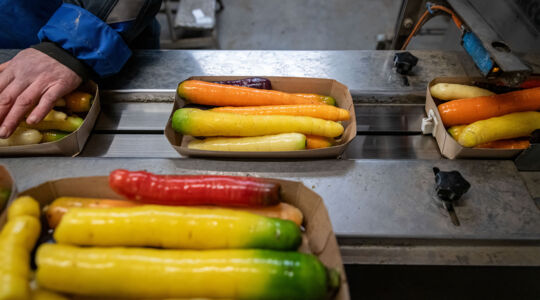 Les légumes biologiques emballés durablement en barquettes