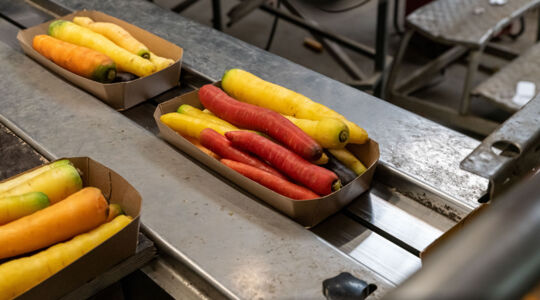 Organic vegetables packaged sustainably in punnets