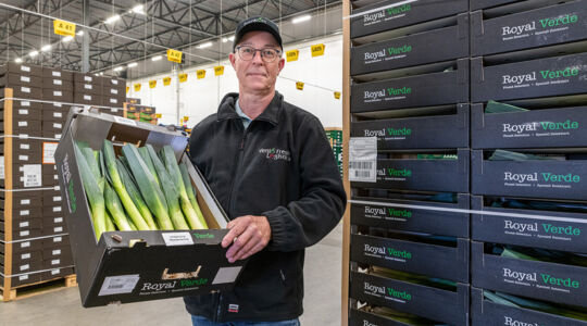 Nouvel emballage pour les poireaux : des plateaux en carton compact solides
