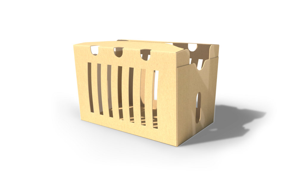 Smart-Packaging-Solutions-Punnet-Primair Smart-Packaging-Solutions-Punnet-Primair