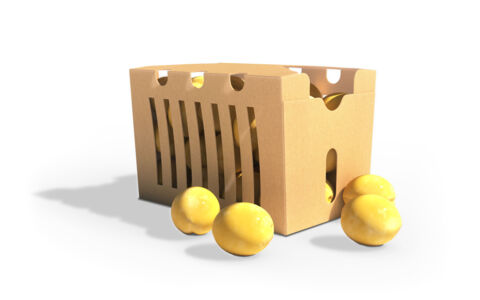 Smart-Packaging-Solutions-Header-Punnet-Verpakking